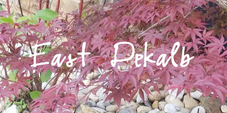 E Dekalb3 768x384
