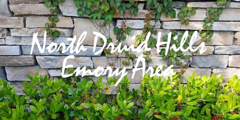 NDruidHills 1 768x384