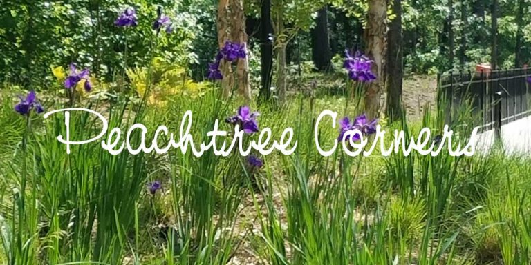 peachtree corners 1 768x384