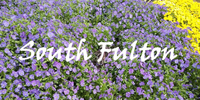 south fulton2 768x384