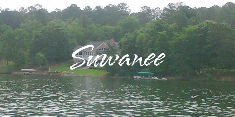 suwanee 768x384
