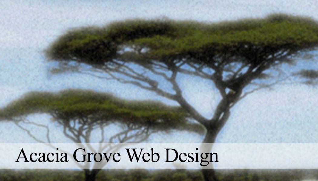 Acacia Grove Web Design